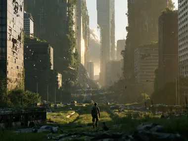 An overgrown city street reclaimed by forest